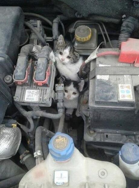 Recomendaciones para el frío para ti, los niños y las mascotas