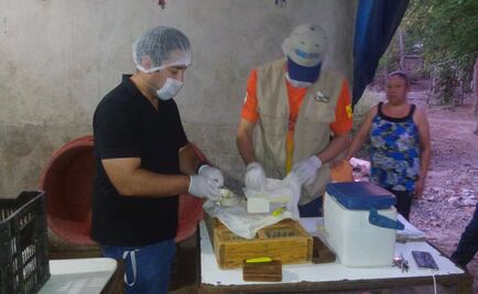 Clausuran productora de queso tras intoxicación de 21 personas en Sinaloa 