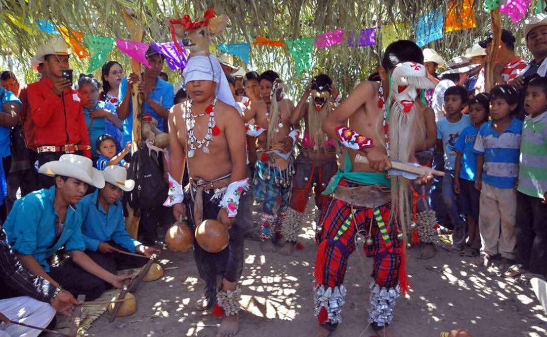 La danza del venado, símbolo vital del pueblo yaqui y emblema sonorense, vibrará en Vila de Sâo Jorge, del estado de Goiás. FOTO: Especial.