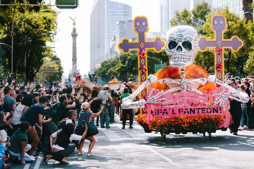 Foto: Cortesía Anima Inc