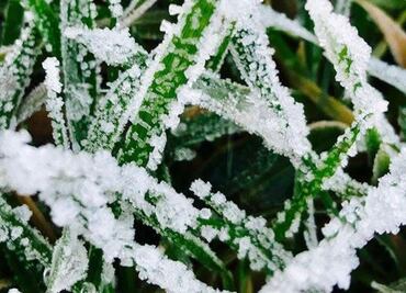 Emiten alerta por lluvias fuertes y descenso de temperatura en Hidalgo
