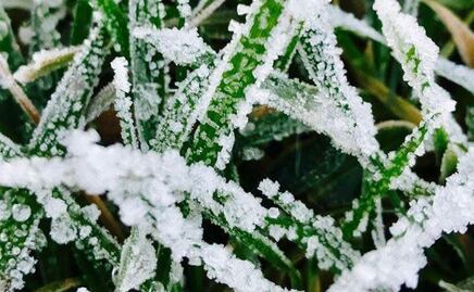 Emiten alerta por lluvias fuertes y descenso de temperatura en Hidalgo
