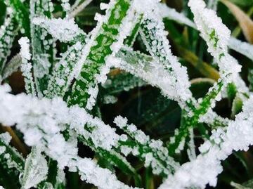 Emiten alerta por lluvias fuertes y descenso de temperatura en Hidalgo