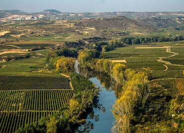 Un tour enológico por la Rioja de ayer y hoy