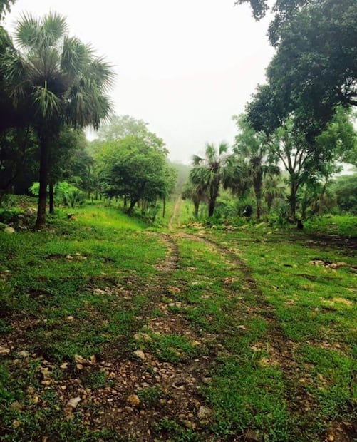 Bel Há, con cabañas al estilo de una aldea teenek en la Huasteca Potosina