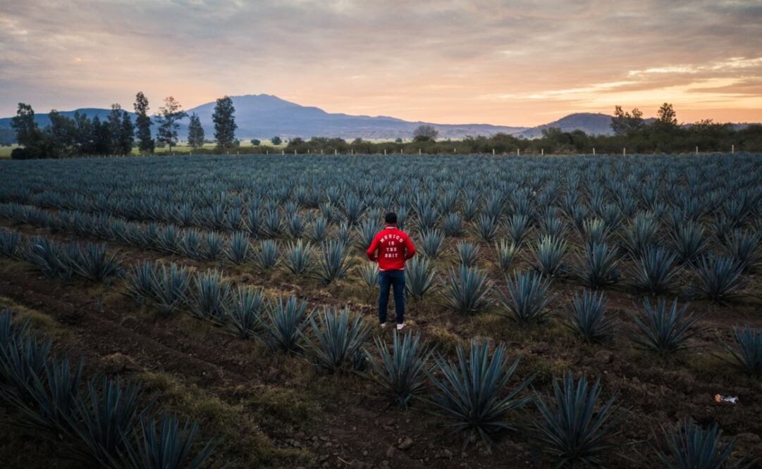 La plataforma 72 Horas en Imágenes, que promociona México mediante fotos de profesionales, existe desde 2019. Foto: Cortesía. Marxo Sáenz