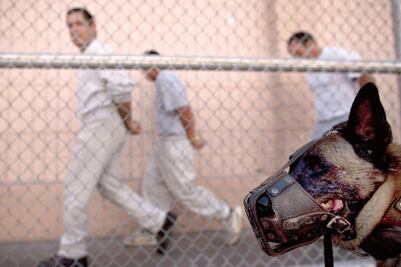 Gobierno responde a resolución por tortura