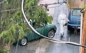 ¡Viaje final! Ejecutan a conductor de un taxi ‘pirata’ en la GAM