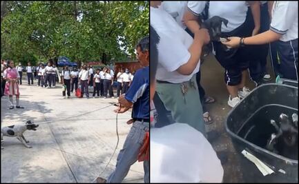 VIDEOS: Maestro arrastra a perrita y tira a sus cachorros a la basura frente a estudiantes de secundaria en Oaxaca