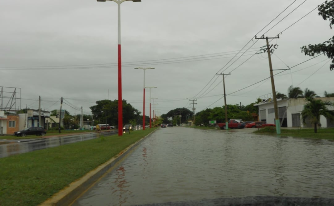 Declaran emergencia en 7 municipios de QRoo