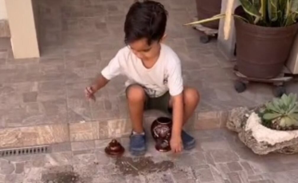Un niño que juega con las cenizas de su abuela es viral en TikTok