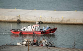 Ingresan a una persona en Alicante, España, como caso sospechoso de hantavirus; está vinculada al crucero