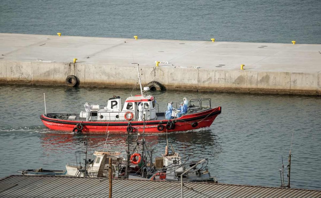 Miembros de la tripulación, ataviados con trajes de protección, abandonan el puerto en una lancha ambulancia en dirección al crucero MV Hondius, anclado frente al puerto de Praia, capital de Cabo Verde, el 6 de mayo de 2026. La Organización Mundial de la Salud (OMS) informó que ese mismo día se estaban llevando a cabo evacuaciones de un crucero afectado por un brote mortal de hantavirus, tras confirmarse la presencia de una cepa poco común que puede transmitirse entre humanos.
Tres personas —dos miembros de la tripulación y otra persona, presuntamente infectada con el virus— estaban siendo evacuadas del MV Hondius, anclado frente a las costas de Cabo Verde, según la OMS. Foto: AFP