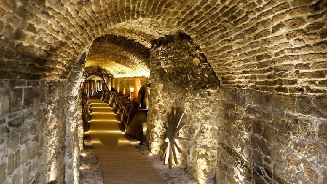 Foto: Maya Travels CDMX