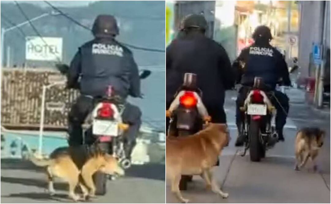 Policía arrastra a perrito en Veracruz. Foto: Especial