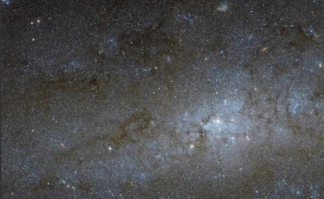La galaxia forma parte del Grupo del Escultor. (FOTO: NASA)