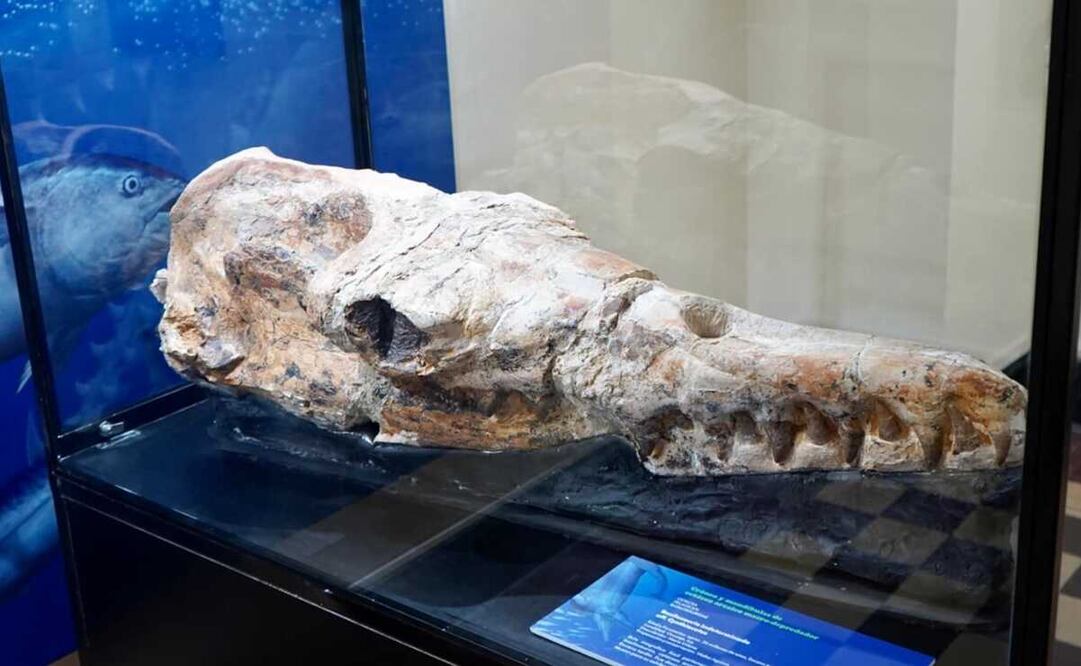 Foto: Universidad Nacional Mayor de San Marcos