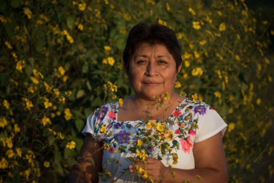 Una charla con Leydy Pech, la "guardiana de las abejas" mexicana que ganó el llamado Nobel del medio ambiente
