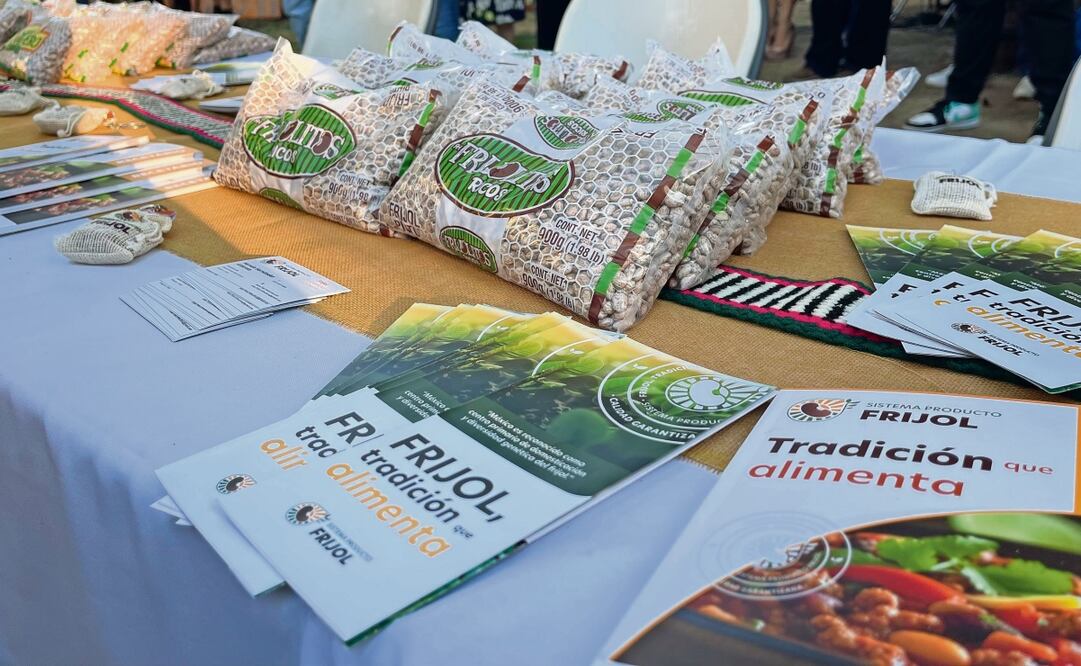 Productores de frijol de Chihuahua admiten que se registran bajas en la producción de la leguminosa, así como en las ventas y el consumo humano. Foto: Especial