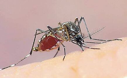 Michoacán: Capacitan a personal de Salud por virus zika