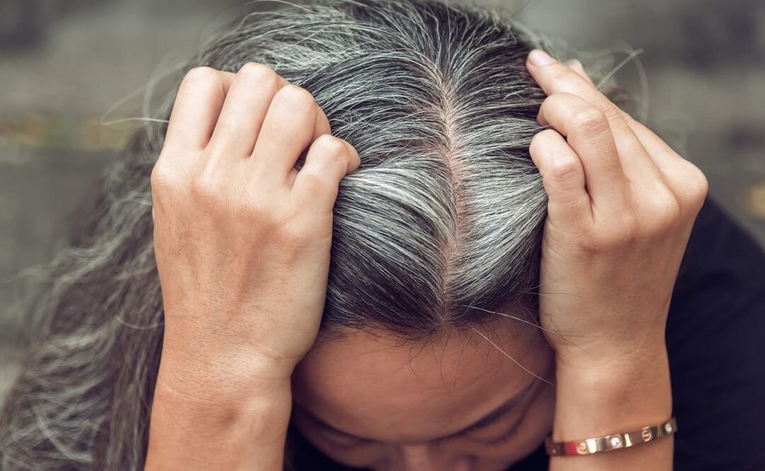 Te decimos qué debes hacer con tus canas. Foto: Shutterstock