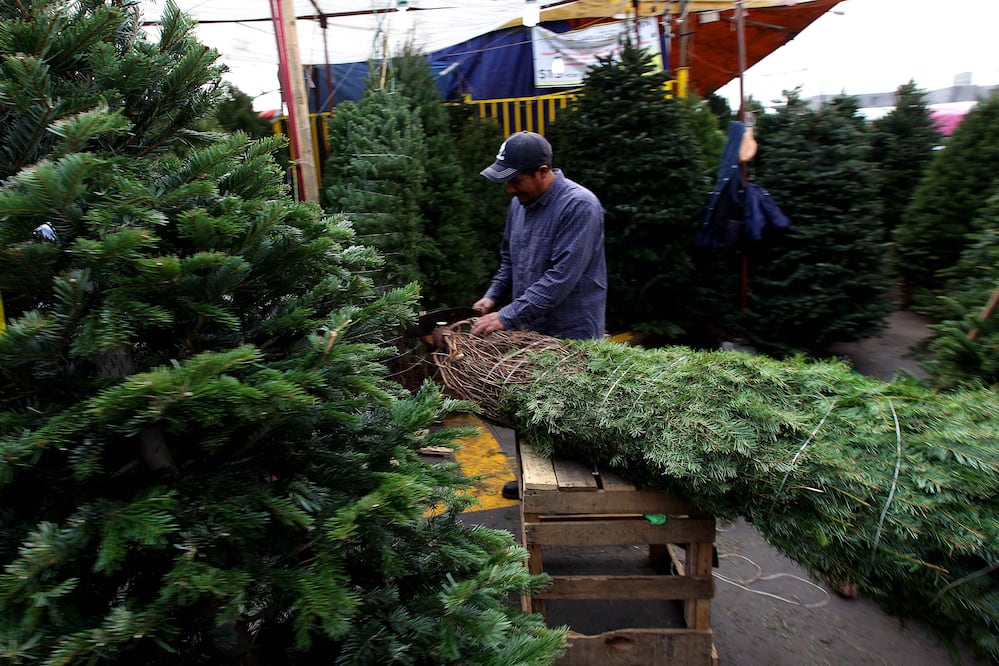 Foto: Archivo / EL UNIVERSAL