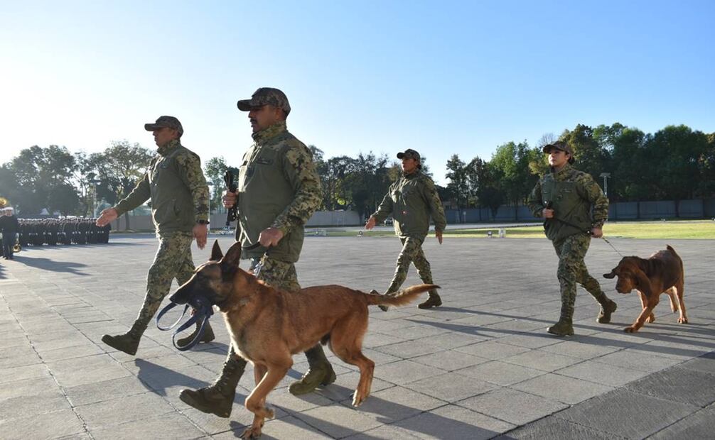 Max y Ecko participaron en diversos eventos nacionales e internacionales en conjunto con el Equipo de Búsqueda y Rescate. Foto:
