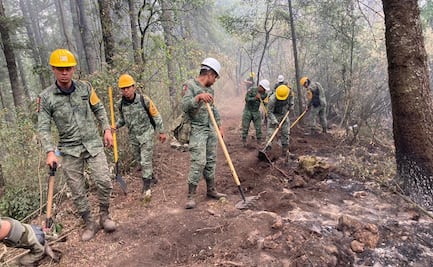 Controlado al 100% incendio en Lagunas de Zempoala, Morelos; se perdieron 1,086 hectáreas de bosque