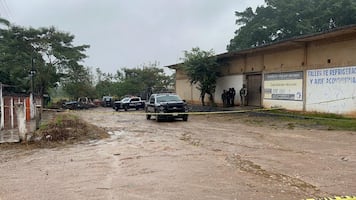 Asesinan a tiros a cuatro hombres dentro de negocio en Acayucan, Veracruz; sicarios logran escapar