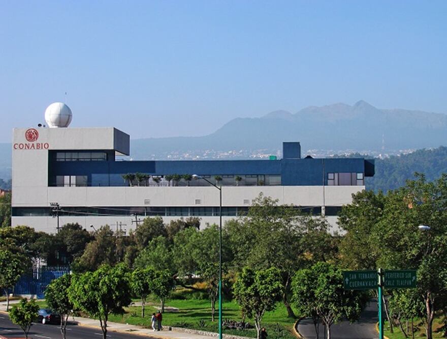 Agregan que, desde 2018, la administración federal ha buscado su desaparición. Foto: Especial