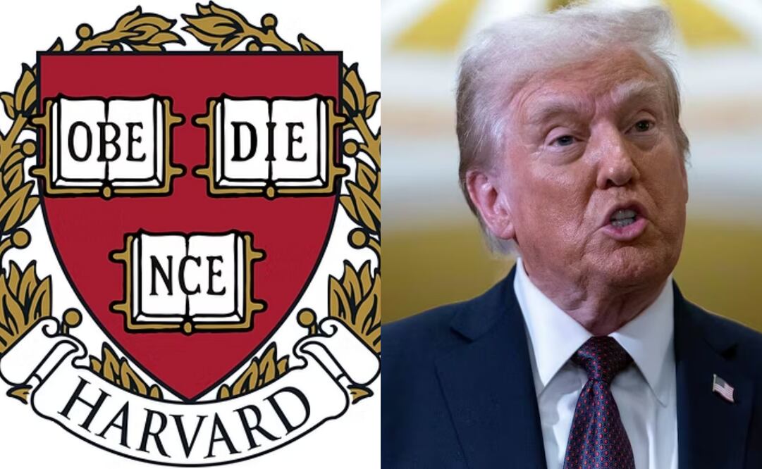 Universidad de Harvard desafía a Trump y rechaza poner fin a políticas de inclusión y diversidad (14/04/2025). Foto: Especial
