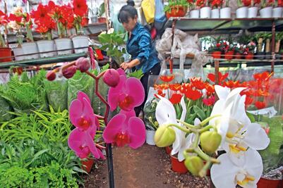 Xochimilco adornará con flores el atrio