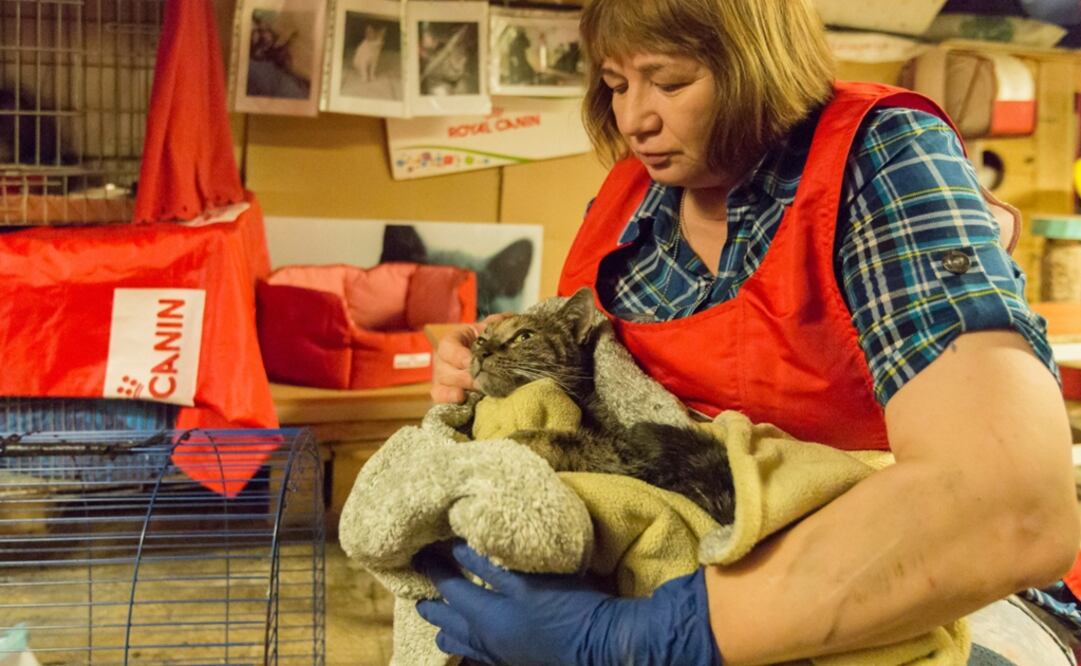 Foto: Twitter / Эрмитаж - Hermitage