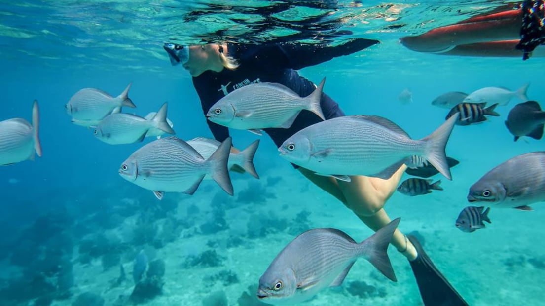 Foto: Cancun Adventures