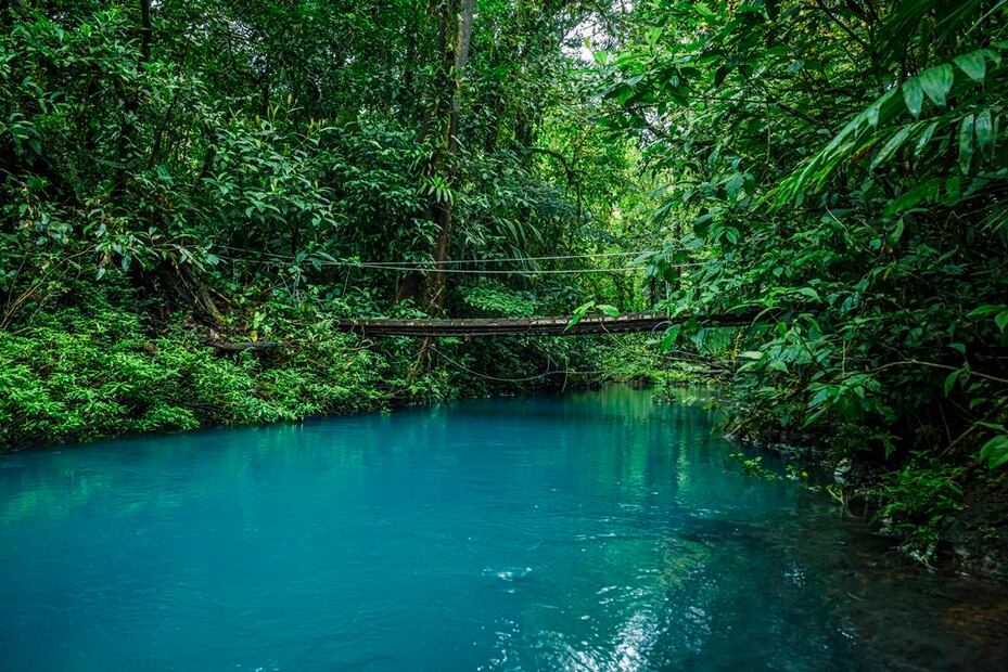 Foto: Eduardo Peraza