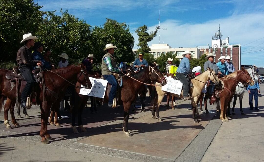Foto: Amalia Escobar/ EL UNIVERSAL
