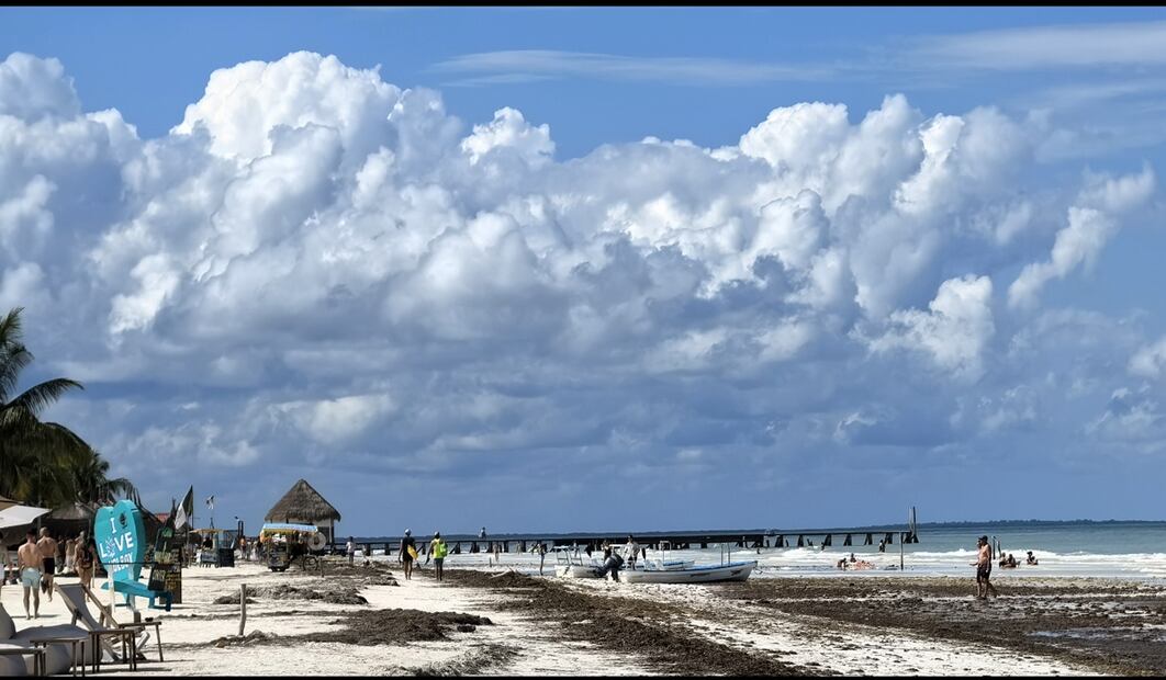 Una vez al mes pobladores voluntarios, estudiantes y comerciantes participan en cuadrillas de limpieza para recolectar basura en la isla de Holbox, Quintana Roo. Foto: Adriana Varillas/EL UNIVERSAL