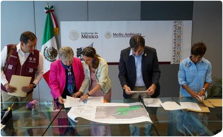 Implementan acciones para la protección del área de Los Dinamos; ¿Qué estrategias de conservación se realizarán? 