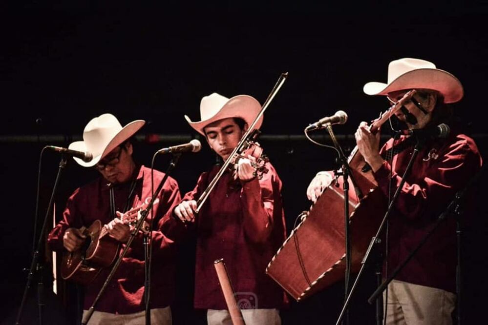 Gorrión Serrano. Foto: Cortesía