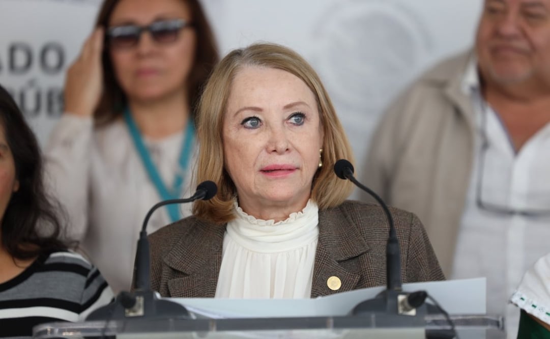 Laura Itzel Castillo, presidenta del Senado de la República. Foto: Especial