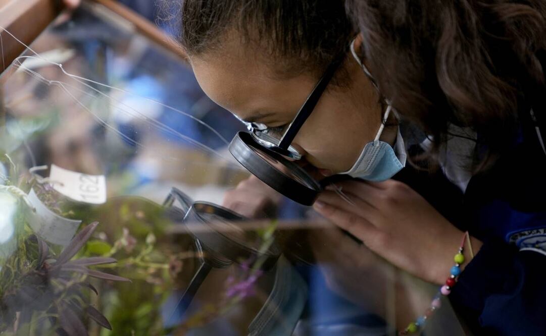 Mi experiencia en la Comisión Lancet sobre Covid-19