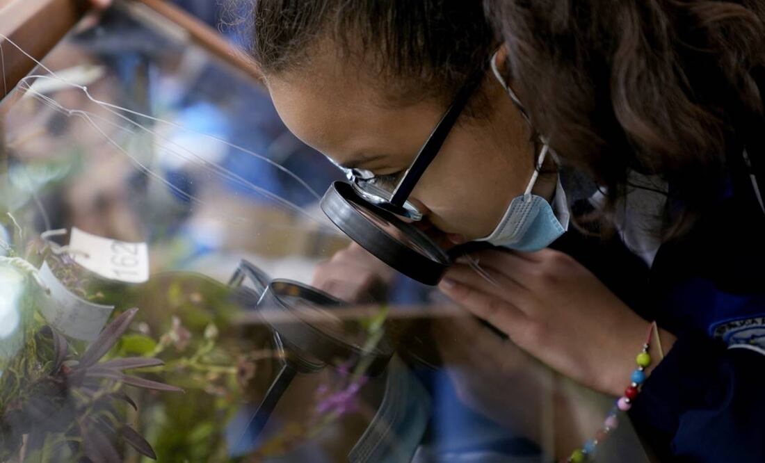 Mi experiencia en la Comisión Lancet sobre Covid-19