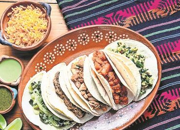 Cultivos transgénicos certificados por EU, seguros para el consumo humano