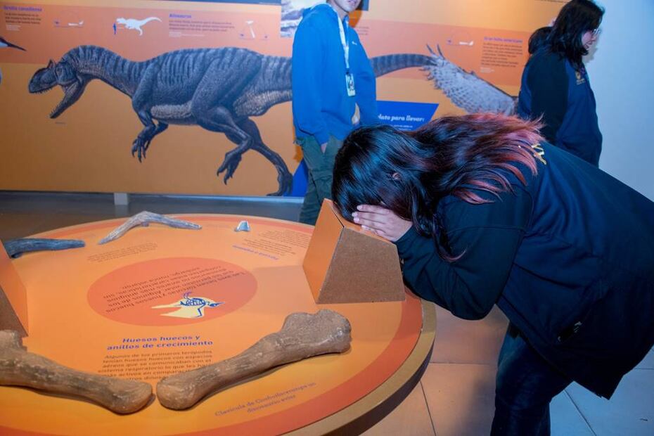 Foto: Facebook: “Universum, Museo de las Ciencias”