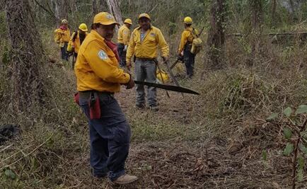 Controlan incendio cerca de zona arqueológica en QRoo