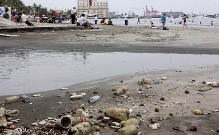 Mueren 100 mil especies marinas cada año por plástico arrojado al mar: CNDH