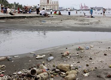 Mueren 100 mil especies marinas cada año por plástico arrojado al mar: CNDH