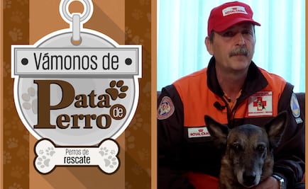 Vámonos de pata de perro. Cómo trabaja un perro de rescate