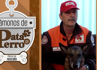 Vámonos de pata de perro. Cómo trabaja un perro de rescate