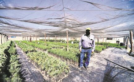 Sin claridad, reglas de 4 programas sociales prioritarios